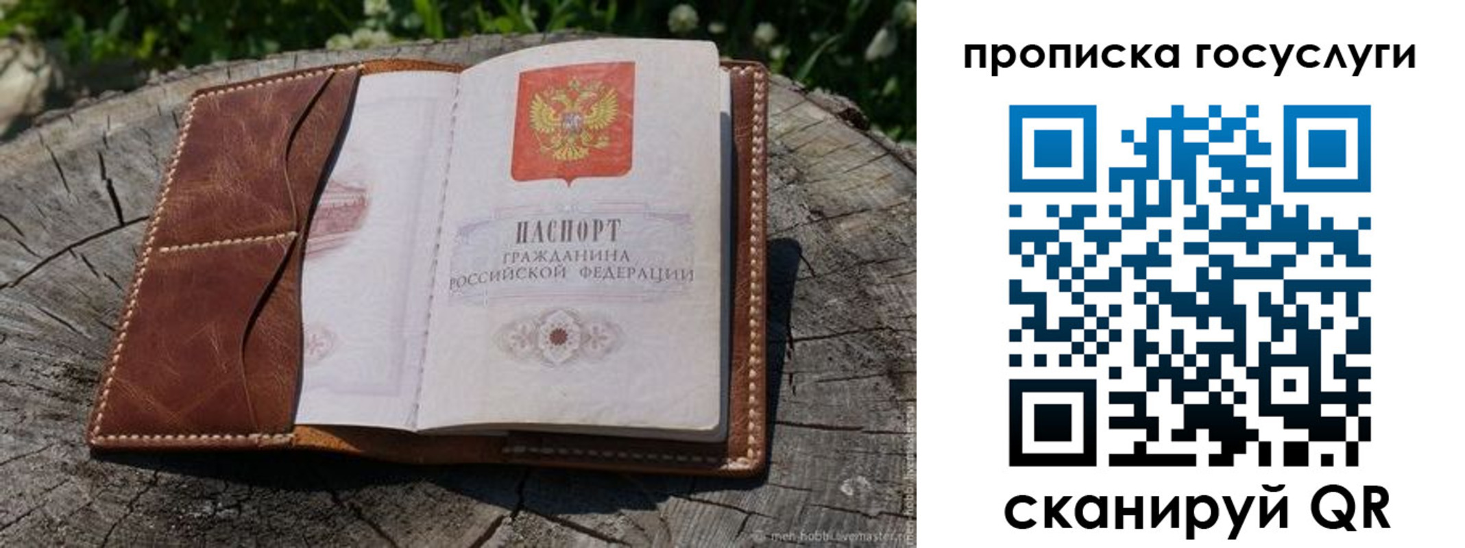 прописка для школы в Ковдоре